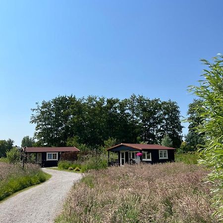 Bed and Breakfast Fields 1216 Zwaanshoek Zewnętrze zdjęcie