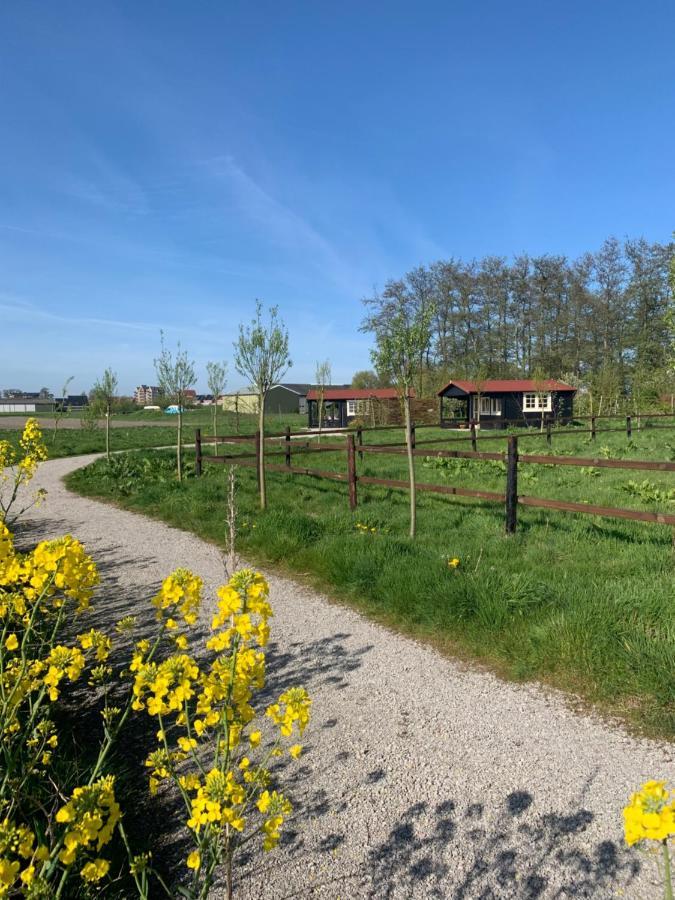 Bed and Breakfast Fields 1216 Zwaanshoek Zewnętrze zdjęcie
