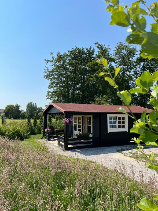 Bed and Breakfast Fields 1216 Zwaanshoek Zewnętrze zdjęcie