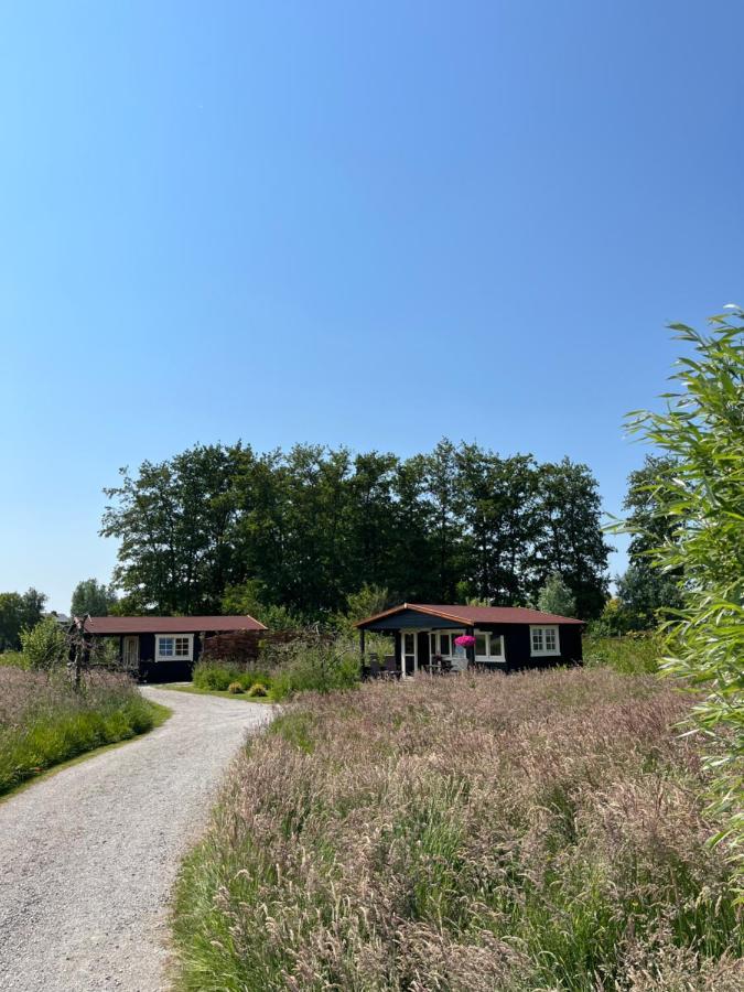 Bed and Breakfast Fields 1216 Zwaanshoek Zewnętrze zdjęcie